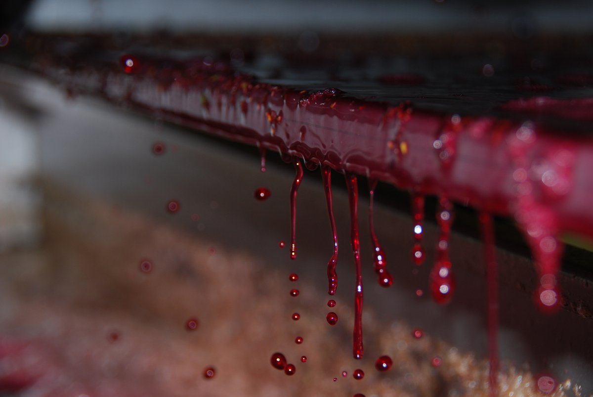 Wes Hagen, Estate HostNative9 Wine, Wine Raconteur tweet media