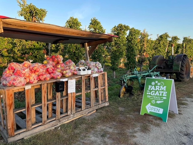 #SupportLocal Just follow the green signs! Farm Gate Trail will help you locate all the freshest fruits, vegetables and other local gems in #LakeCountry. 

#FarmGateTrail #Community #FreshisBest #LocalProduce