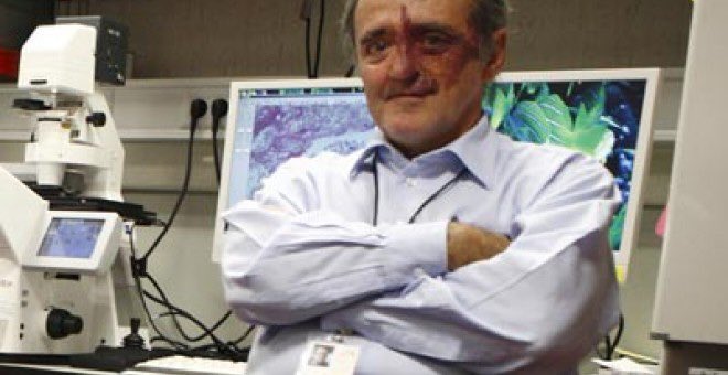 Premio Nacional de Investigación Ramón y Cajal awarded to Mariano Barbacid. His candidacy was promoted by @CICancer_com with the support of 12 research centers and scientific societies. Congrats Mariano❗️ Well deserved ❗️❗️<a href="/ASEICAnews/">ASEICA</a> <a href="/SEBBM_es/">SEBBM</a> <a href="/CSIC/">CSIC</a> <a href="/CancerCSIC/">Conexión Cáncer CSIC</a> <a href="/_SEOM/">SEOM</a> <a href="/EACRnews/">EACR</a>