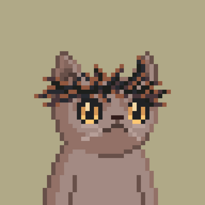 🟠 31 🟠 tweet media