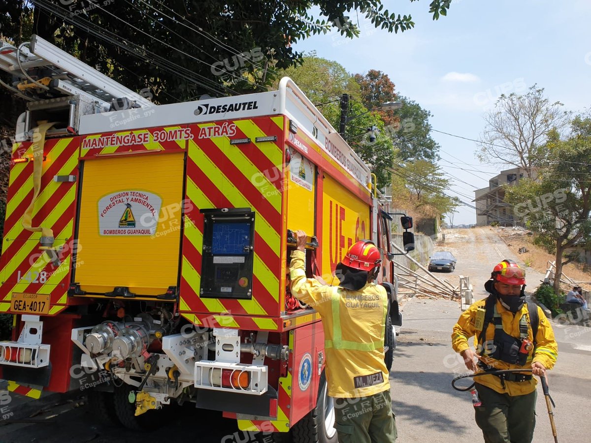 🇪🇨 CUPSFIRE tweet media