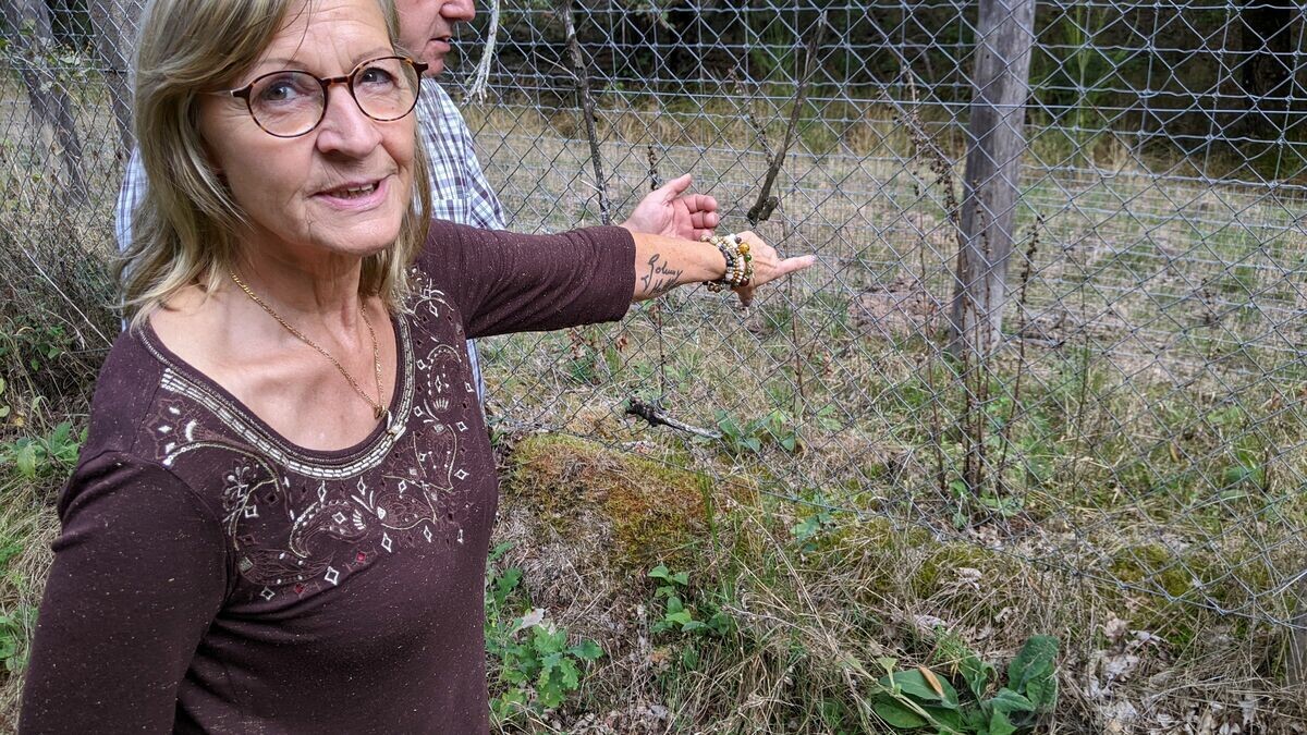 En Sologne, l’«engrillagement» des forêts, une pratique de plus en plus décriée
➡️ l.leparisien.fr/XfCg