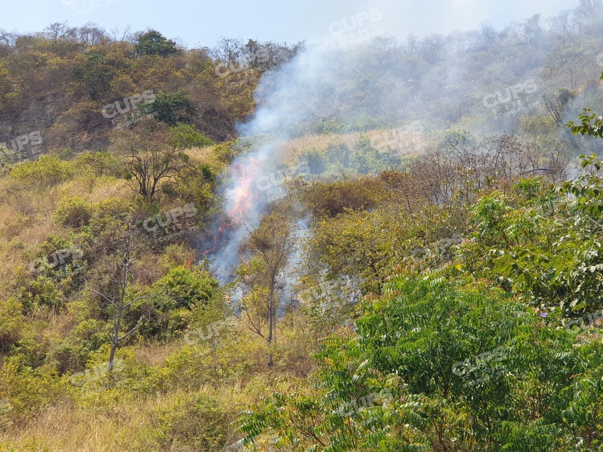 🇪🇨 CUPSFIRE tweet media