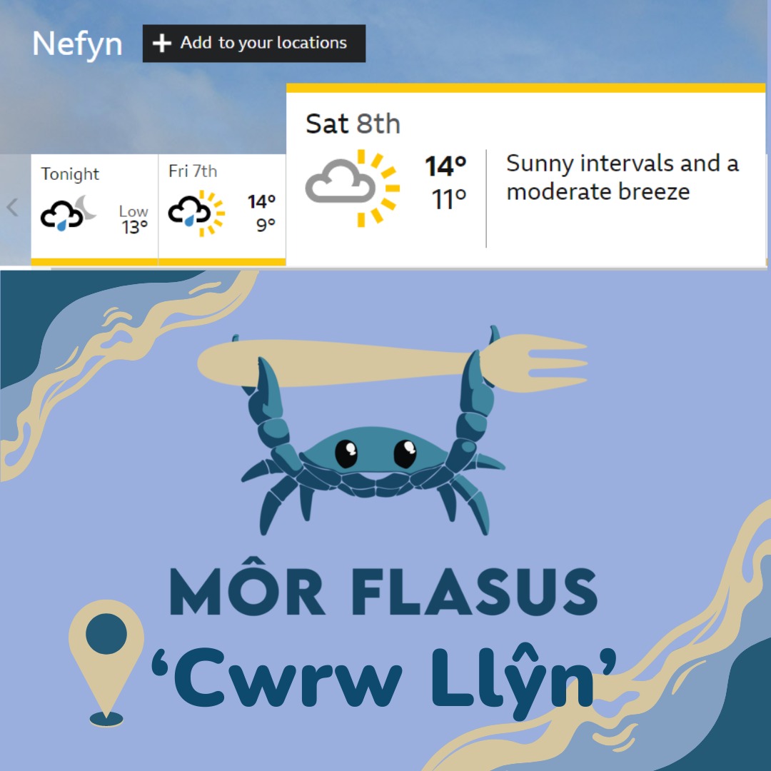 Archebwch tywydd teg at ddydd sadwrn
😎🦀🐟🦐🦑🦞
Place your orders fair weather for Saturday