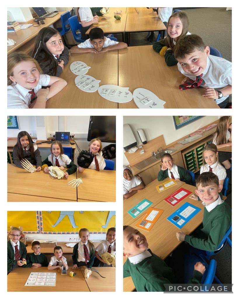 StCharlesNewton's tweet photo. P5A had lots of fun investigating Chinese animals and learning some Chinese phrases with Sandie from Edinburgh Zoo. 🐼🌟🙌🏼 #BeyondThePanda https://t.co/EN89duB5C7
