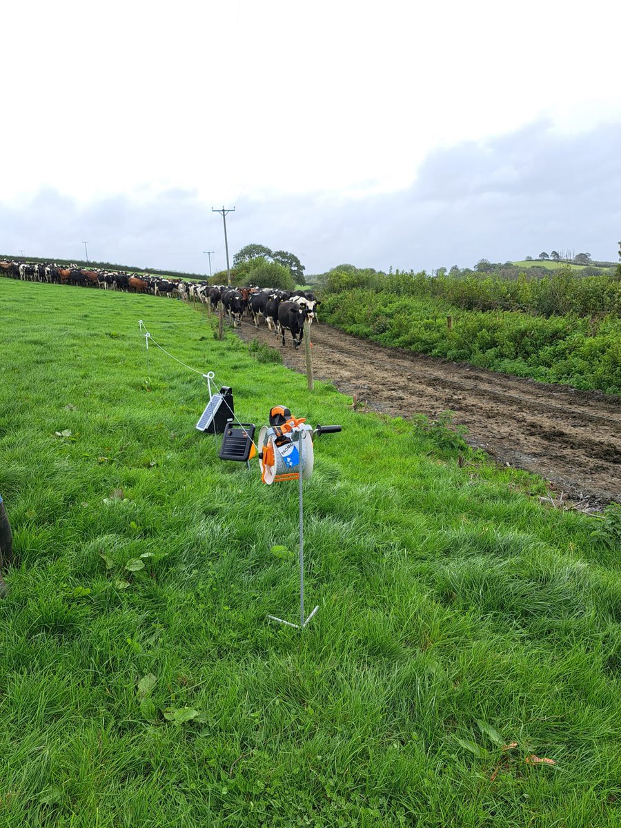 Pasturetec (@pasturetec) on Twitter photo Interactive discussion and farm walk in Carmarthenshire with <a href="/first_milk/">First Milk</a> members, Pasturetec’s John Davies, Sarah Hinton & <a href="/garethgrassland/">Gareth Davies</a> talking milk 🥛 from grass, soil health, herbal leys, fencing, grazing and re seeding and more. Thanks to the farm,Haydn Lloyd & family. Interactive discussion and farm walk in Carmarthenshire with <a href="/first_milk/">First Milk</a> members, Pasturetec’s John Davies, Sarah Hinton & <a href="/garethgrassland/">Gareth Davies</a> talking milk 🥛 from grass, soil health, herbal leys, fencing, grazing and re seeding and more. Thanks to the farm,Haydn Lloyd & family.