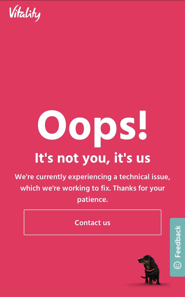 Bryce Matthewson tweet media