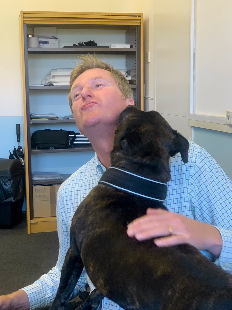 PoliceDogCooper's tweet photo. Then we went to visit the brilliant professional development unit, training all our new recruits @StaffsPolice 
RPD Cooper had loads of cuddles and fuss 🐾🐾 https://t.co/x6GG6ZRULv