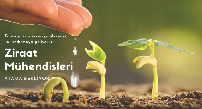 <a href="/VahitKirisci/">Prof.Dr.Vahit Kirişci</a> #SenÜretYeter  ZİRAAT MÜHENDİSLERİ SİZDEN YÜKSEK SAYİDA ATAMA BEKLİYOR SAYIN BAKANIM <a href="/VahitKirisci/">Prof.Dr.Vahit Kirişci</a>  #Ziraatmuhendisleriatamabekliyor  #TarimaAtamaNerede <a href="/RTErdogan/">Recep Tayyip Erdoğan</a>  <a href="/TCTarim/">T.C. Tarım ve Orman Bakanlığı</a>