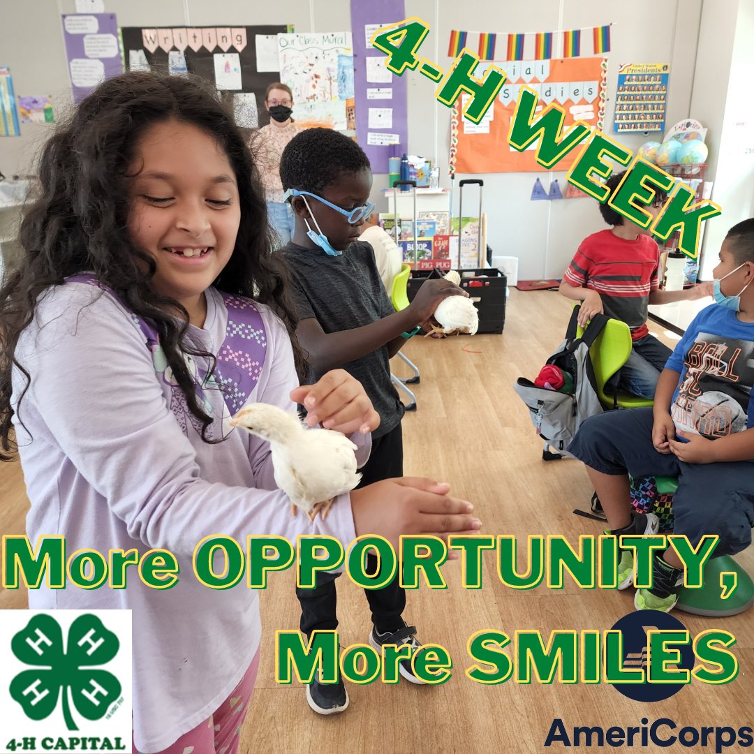 More opportunity, more smiles at #4h #4hweek #opp4all 4-H'rs in T.A. Brown Elementary School's Animal Science Club handling chicks last May.