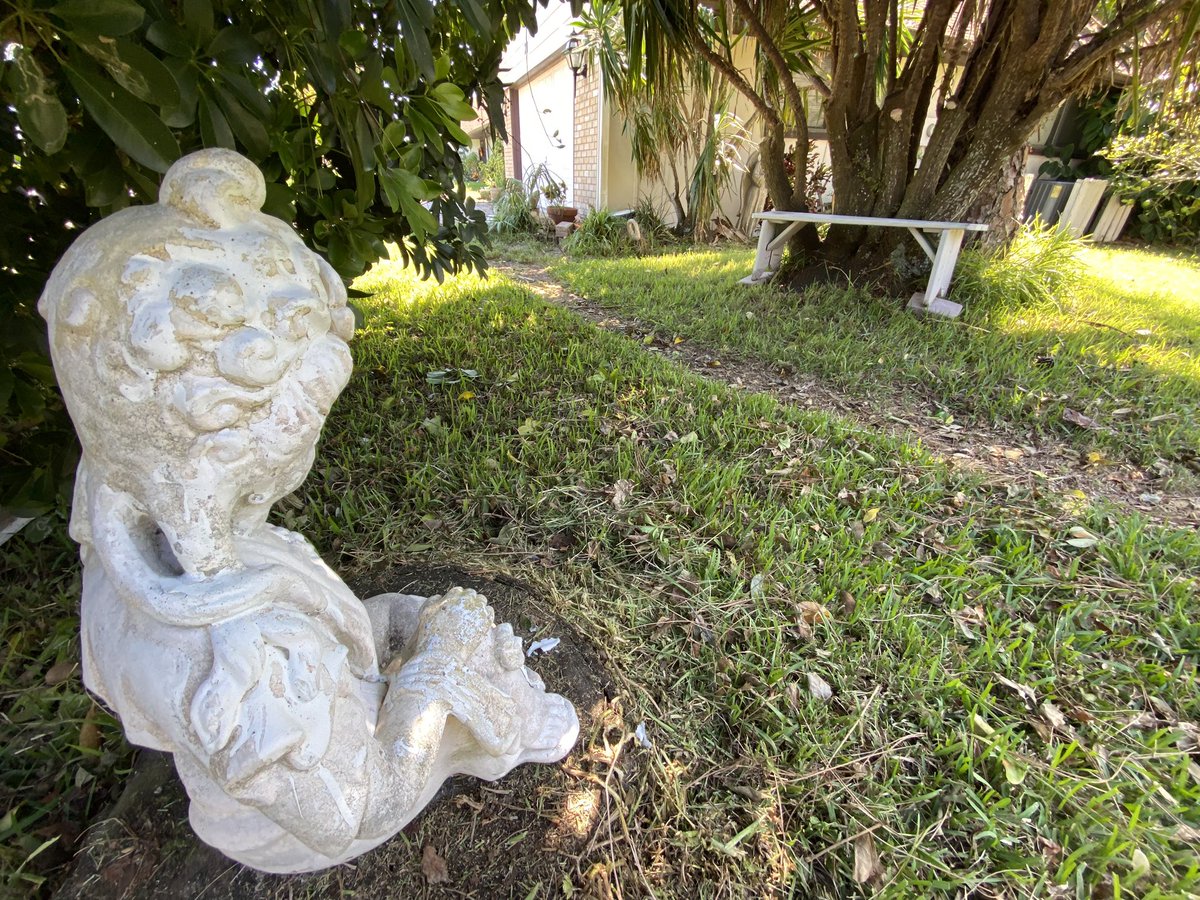 Post-hurricane pocket Zen garden
