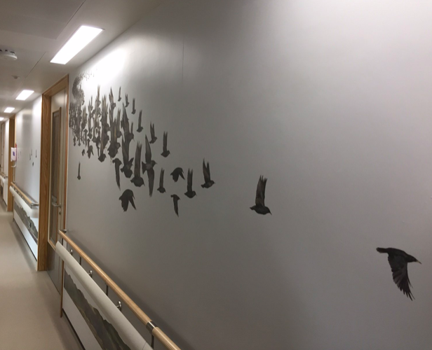 Robert Macfarlane (@robgmacfarlane) on Twitter photo Then our book became a building. 3 hospitals in fact, all of them hospitals, starting with the Royal Orthopaedic Hospital in Stanmore, which used the book's paintings & poems, re-designed by <a href="/AlisonOToole/">Alison O'Toole</a>, to re-imagine what a hospital's corridors & waiting rooms might look like. Then our book became a building. 3 hospitals in fact, all of them hospitals, starting with the Royal Orthopaedic Hospital in Stanmore, which used the book's paintings & poems, re-designed by <a href="/AlisonOToole/">Alison O'Toole</a>, to re-imagine what a hospital's corridors & waiting rooms might look like.