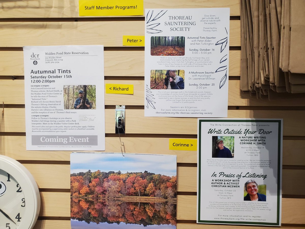 at_walden's tweet photo. The three staff members at The Shop are knowledgable Thoreavians &amp; authors in their own right; between them they have written over a dozen books! This month you can catch them at various programs at Walden Pond and around Concord! 
https://t.co/ktfRcMecnV

https://t.co/Nd50AM3Wmc https://t.co/I6jwmbZwib