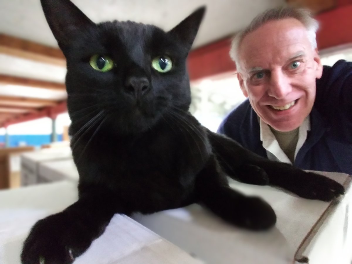 A fast selfie with our shop cat Sammy.
Time for a flash sale, this week only, 15% off ANY deodorizer.