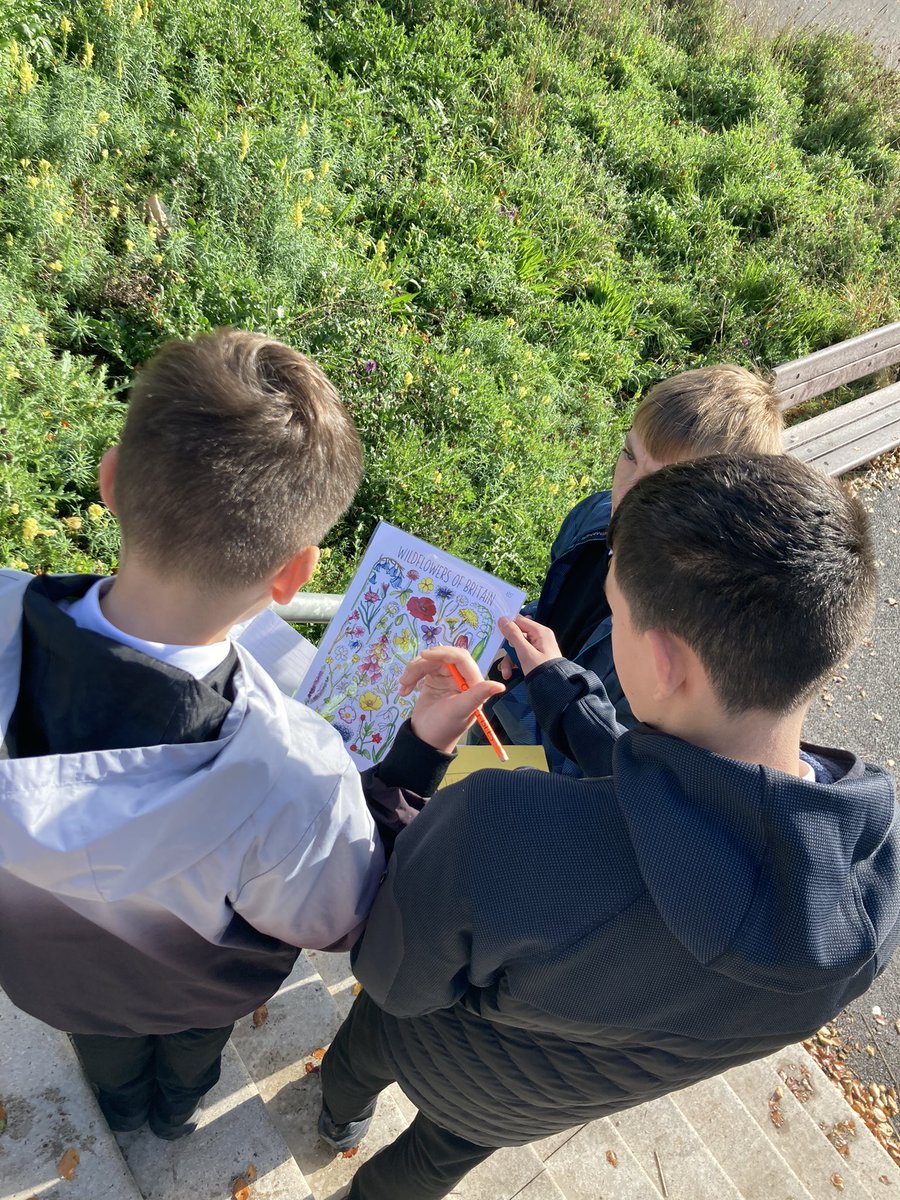 MsMatthewBio's tweet image. 2G made the most of the sunshine today as we went on a biodiversity treasure hunt! They found loads of different trees and plants in/around the playground and Rachel &amp;amp; Niamh even finding a hairy caterpillar! Great to see their pictures showcased on @padlet too 😁🌿🍁🌼🐛