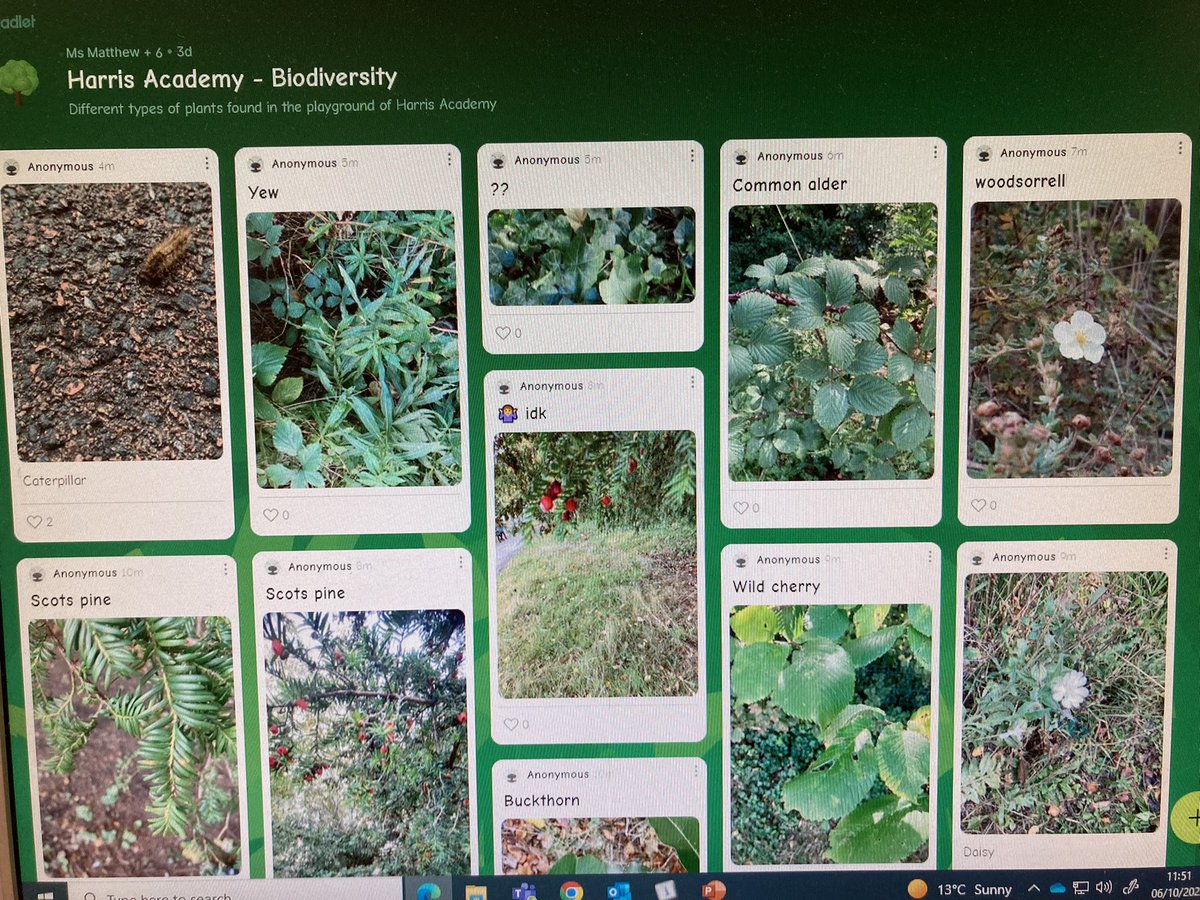 MsMatthewBio's tweet image. 2G made the most of the sunshine today as we went on a biodiversity treasure hunt! They found loads of different trees and plants in/around the playground and Rachel &amp;amp; Niamh even finding a hairy caterpillar! Great to see their pictures showcased on @padlet too 😁🌿🍁🌼🐛