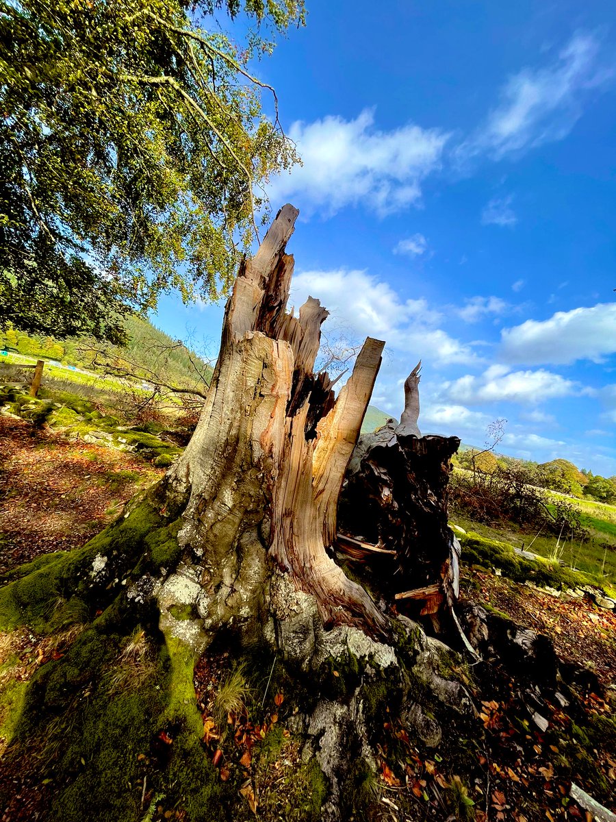 Pete Robinson tweet media