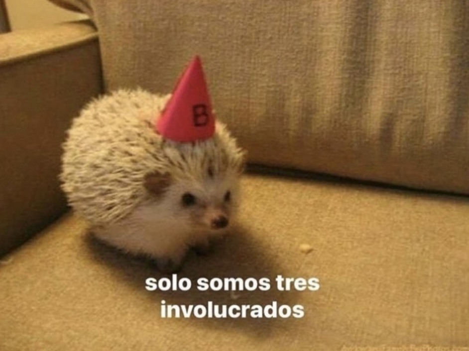 Guarromantico_'s tweet photo. Mi mamá: Oye y cuantos amigos tuyos vendrán a tu cumpleaños?

Yo: https://t.co/h5YXZYghh5