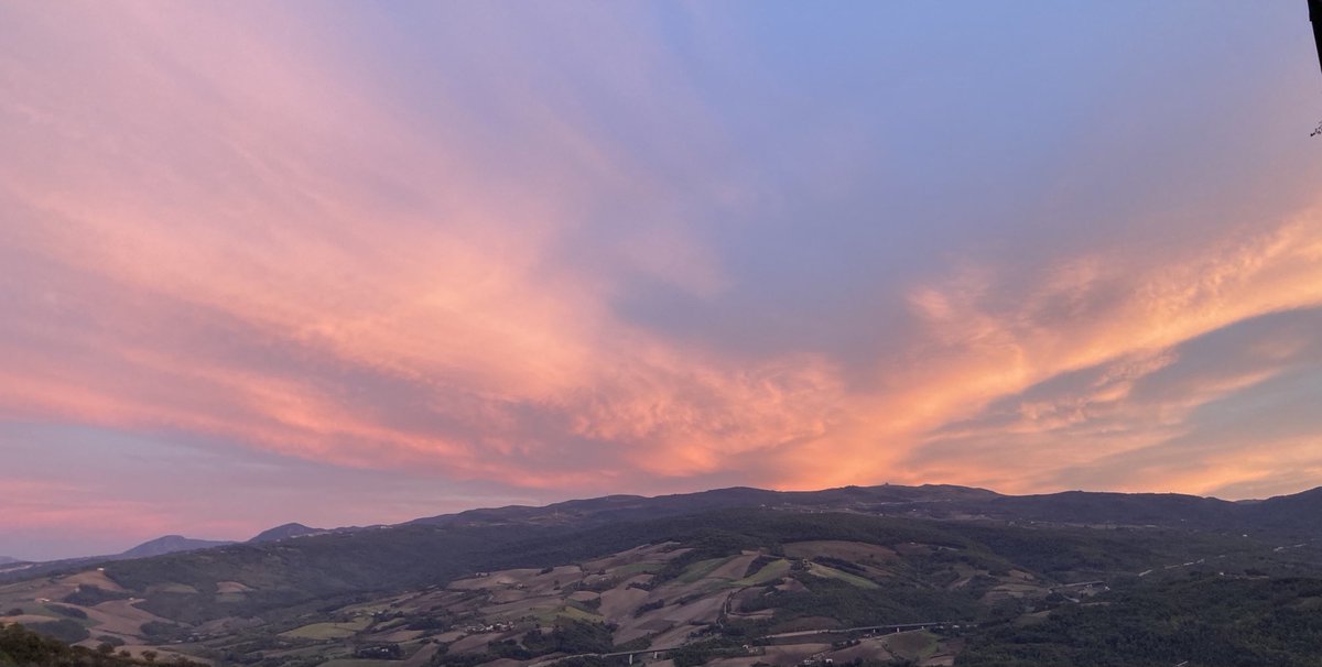 Angela Paolantonio💭🍷 tweet media