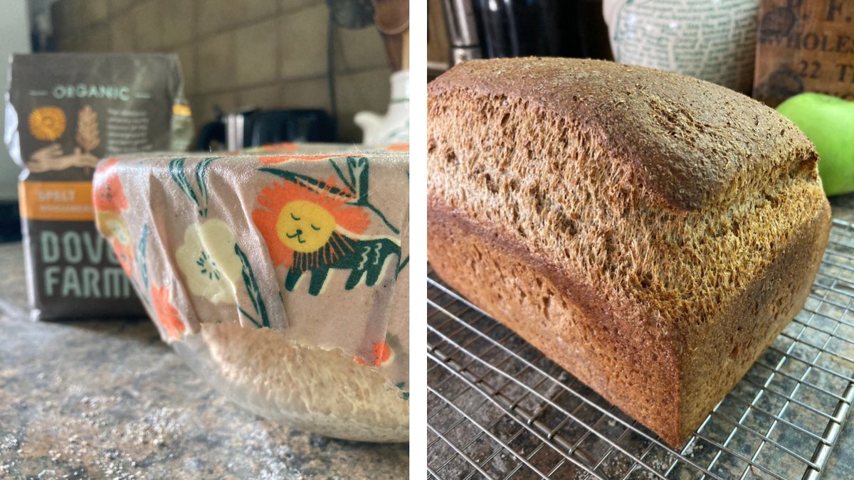 WrapsFabric's tweet photo. Our beeswax wraps make a great alternative to clingfilm over the bowl when you are proving bread 🍞💚#homemadebread #speltbread #beeswaxwraps #plasticfree https://t.co/yW3qj3W2oo