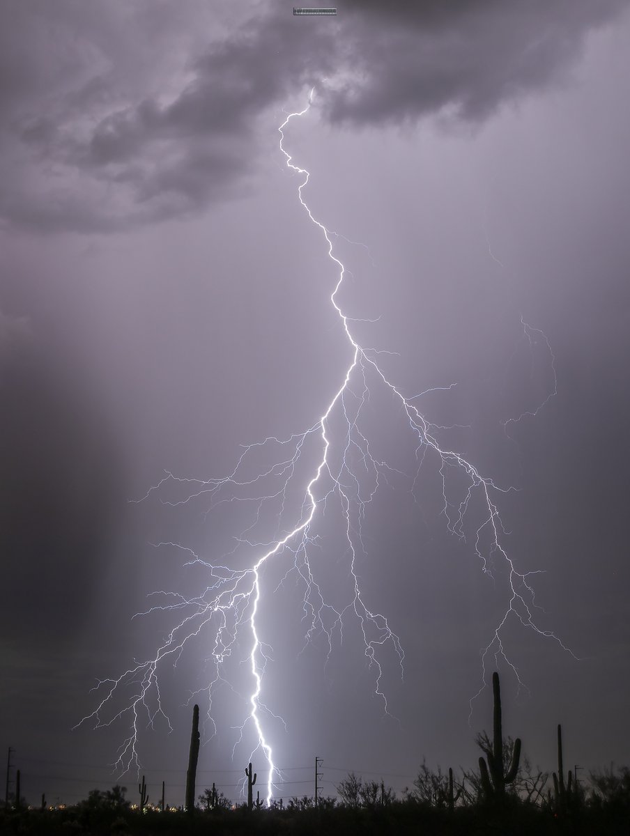 The Storms keep on coming! And I LOVE IT! 
Last night had a nice light show for a few hours with nice BRANCHY Bolts!  
#azwx  #stormhour  
#wxtwitter #lightning 
 #thunderstorm #PhotoOfTheDay