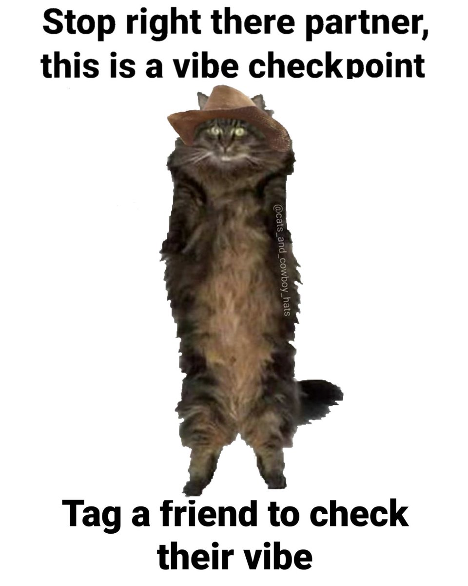 Cats And Cowboy Hats tweet media