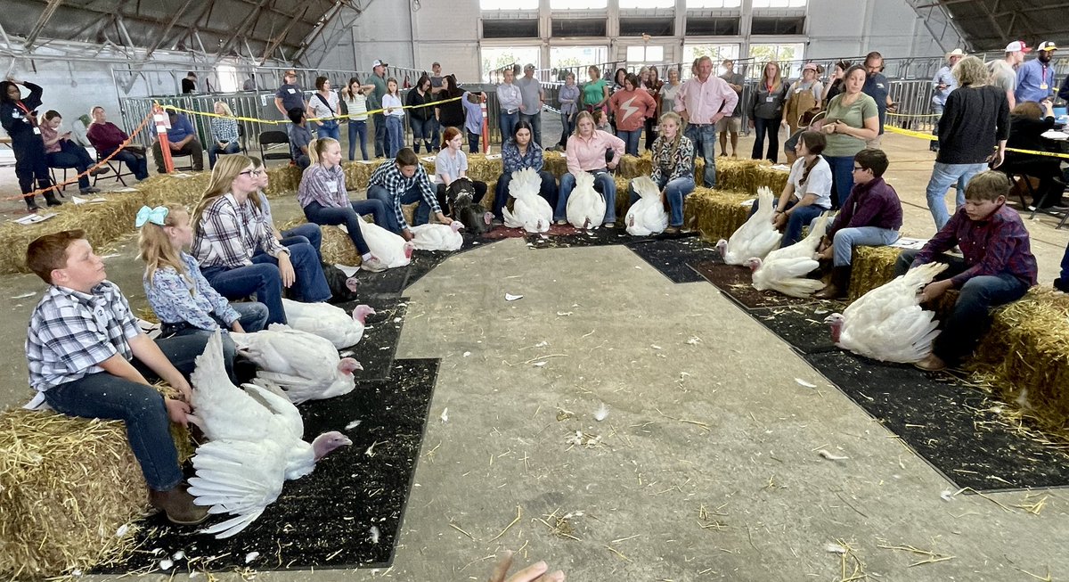 NCStatePDPS tweet media