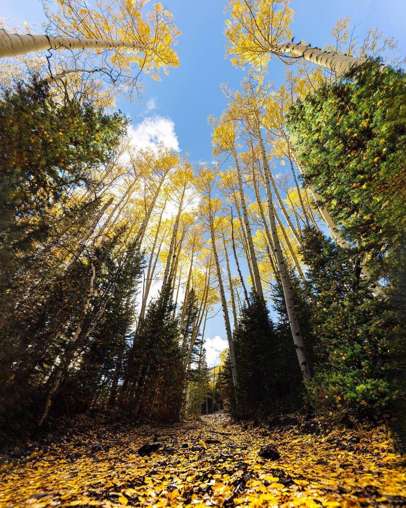 Streets paved with gold.