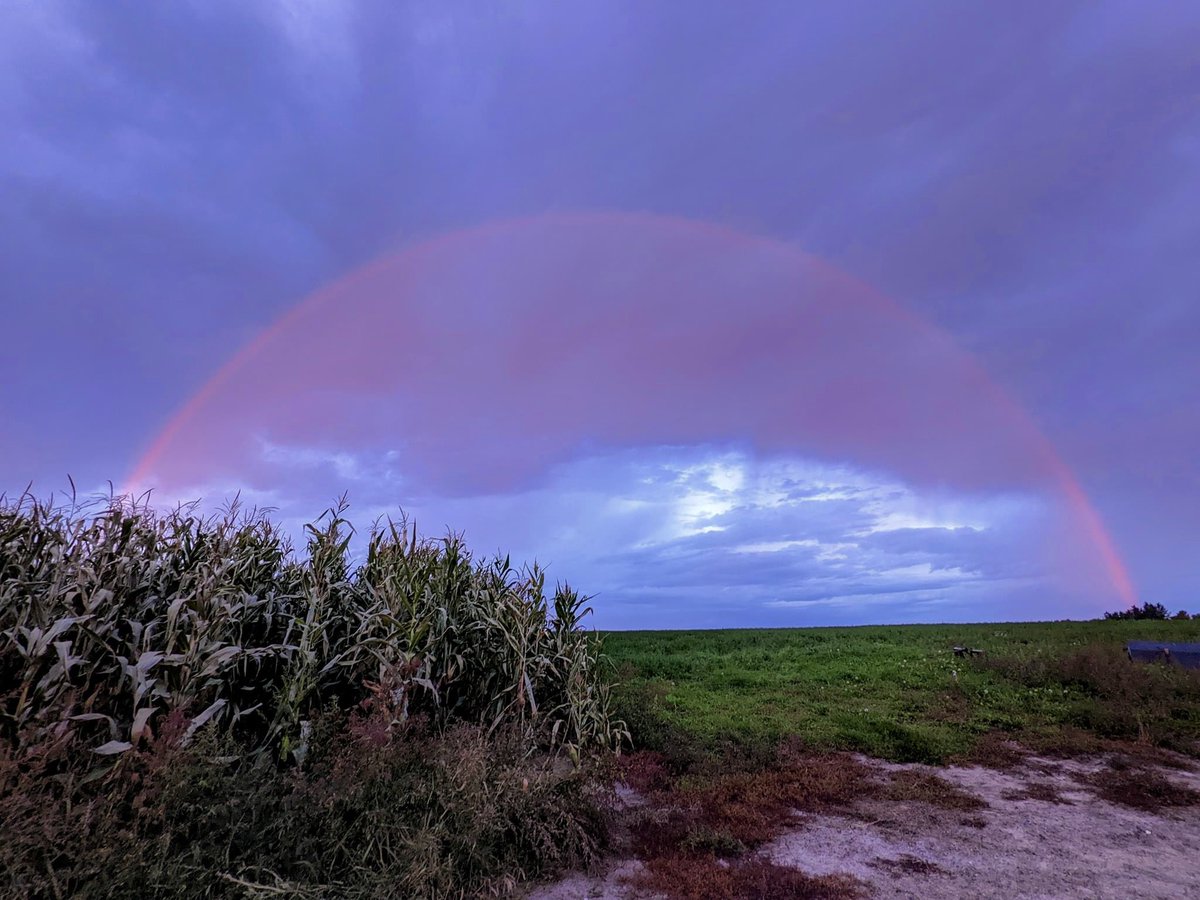 CPudel's tweet photo. Check out this beautiful rare red rainbow this morning! Photo courtesy of Ken Hunter, Port Perry, ON #redrainbow #PortPerry #Ontario #Fall @anthonyfarnell @newsdurham https://t.co/f8RbEx1UOr