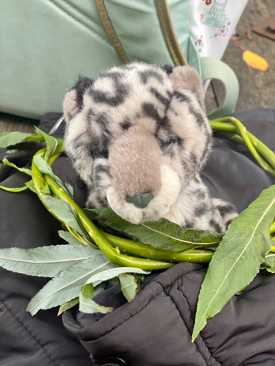 RTforestschool tweet media