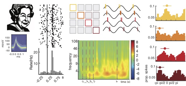 Stefanie Liebe (@steliebe) on Twitter photo I don’t remember what life was like before starting this project years ago, but somehow our brains track the order of events well. How? See our paper on spike phase coding in human MTL and RNNs with J.Niediek <a href="/matthijs_pals/">Matthijs Pals</a> <a href="/mackelab/">Machine Learning in Science</a> @humansingleunit biorxiv.org/content/10.110… 1/5 I don’t remember what life was like before starting this project years ago, but somehow our brains track the order of events well. How? See our paper on spike phase coding in human MTL and RNNs with J.Niediek <a href="/matthijs_pals/">Matthijs Pals</a> <a href="/mackelab/">Machine Learning in Science</a> @humansingleunit biorxiv.org/content/10.110… 1/5