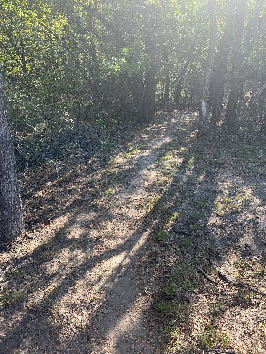 coveredmranch's tweet photo. It’s a bright bright sunshiny day. 7 miles &amp; it felt good. I had as much energy as I did before getting Covid in January so I was so excited the whole run. That’s a big deal! Even stopped by &amp; spoke to the person on the front porch watching me 😂 @XOSKINUSA #beefteam https://t.co/Moe44NmKkg