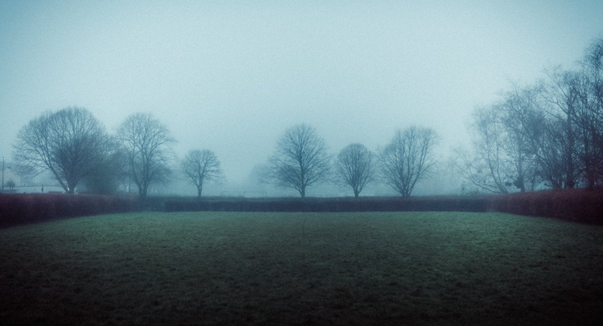 artofseanmurphy's tweet photo. Wishing for more mornings like this one https://t.co/Q3w2S0pCQU