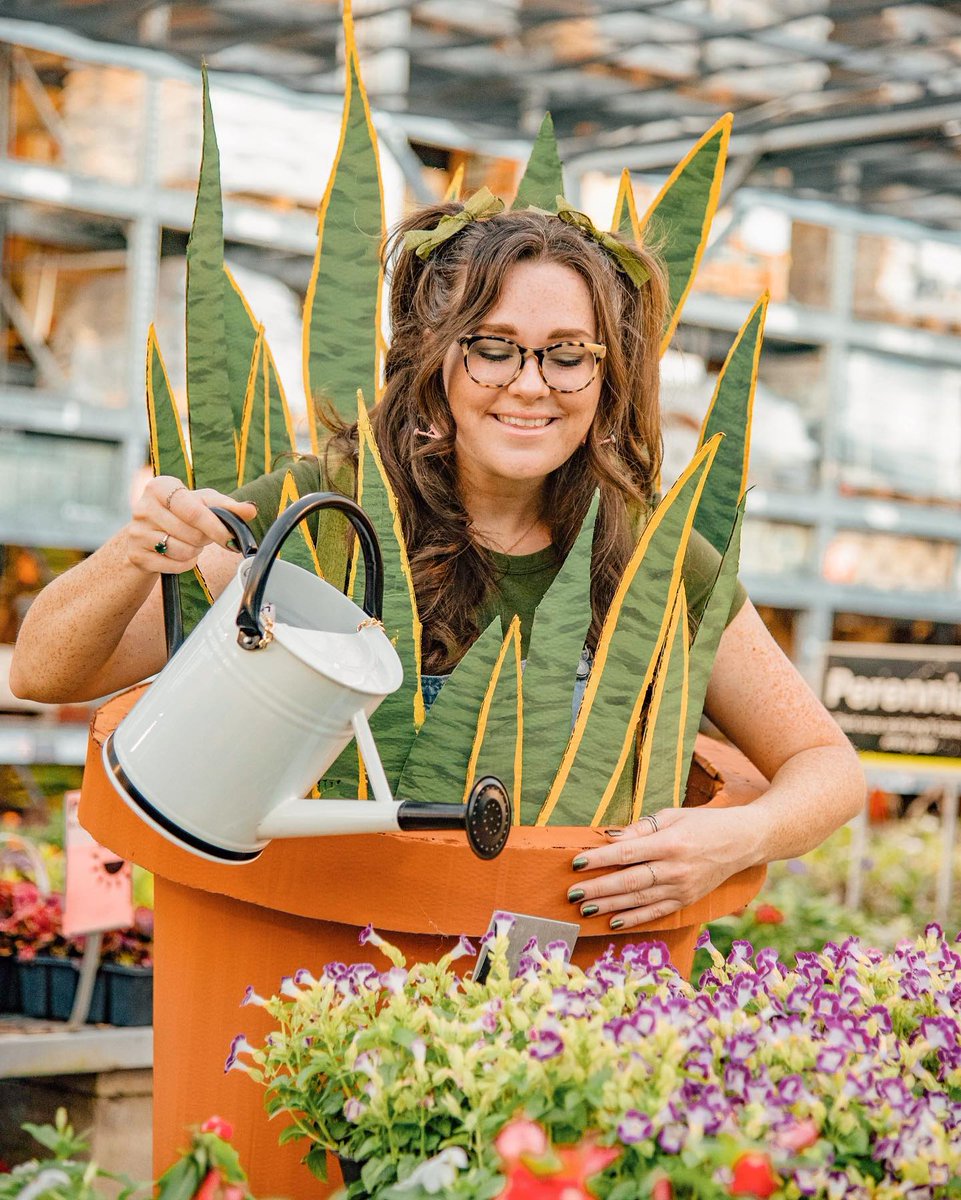 Planting the cutest Halloween costume inspiration 🪴

DIY by emjrocket on IG
📸: alicancapture on IG
