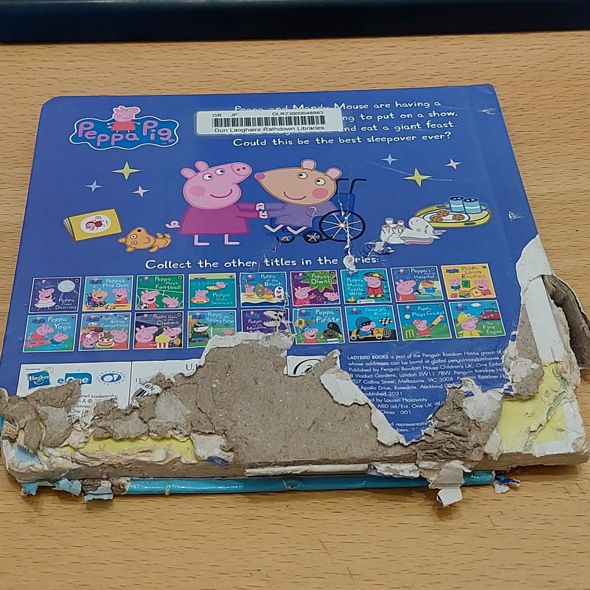 DLR_Libraries's tweet image. &quot;Outside of a dog, a book is a man&apos;s best friend. Inside of a dog, it&apos;s too dark to read.&quot; - Groucho Marx

#CabinteelyLibrary #CabinteelyLife #LoveLibraries #RightToRead #dlrLibraries