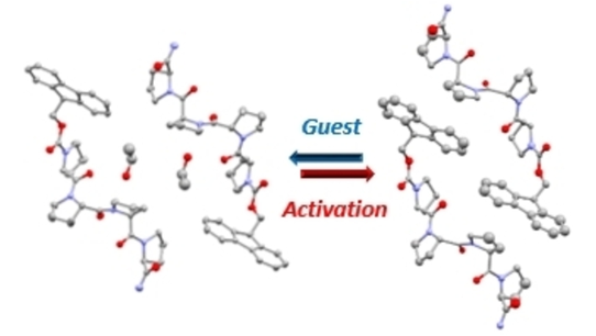 Polyprolines as supramolecular building blocks. A reversibly porous supramolecular peptide framework (Palma et al. <a href="/PalmaGroup/">PalmaResearchGroup</a>; <a href="/palmaniello/">Aniello Palma</a>; <a href="/DomBrightwell/">Dominic Brightwell</a>; <a href="/KushalSamanta8/">Kushal Samanta</a>; <a href="/HolderSimon/">Simon Holder</a>; <a href="/CSHChem/">Chris Hawes</a>; <a href="/H_J_Shepherd/">Helena J. Shepherd 🇪🇺</a>; <a href="/UniKentChem_FS/">School of Chemistry and Forensic Science</a>) #OpenAccess onlinelibrary.wiley.com/doi/10.1002/ch…