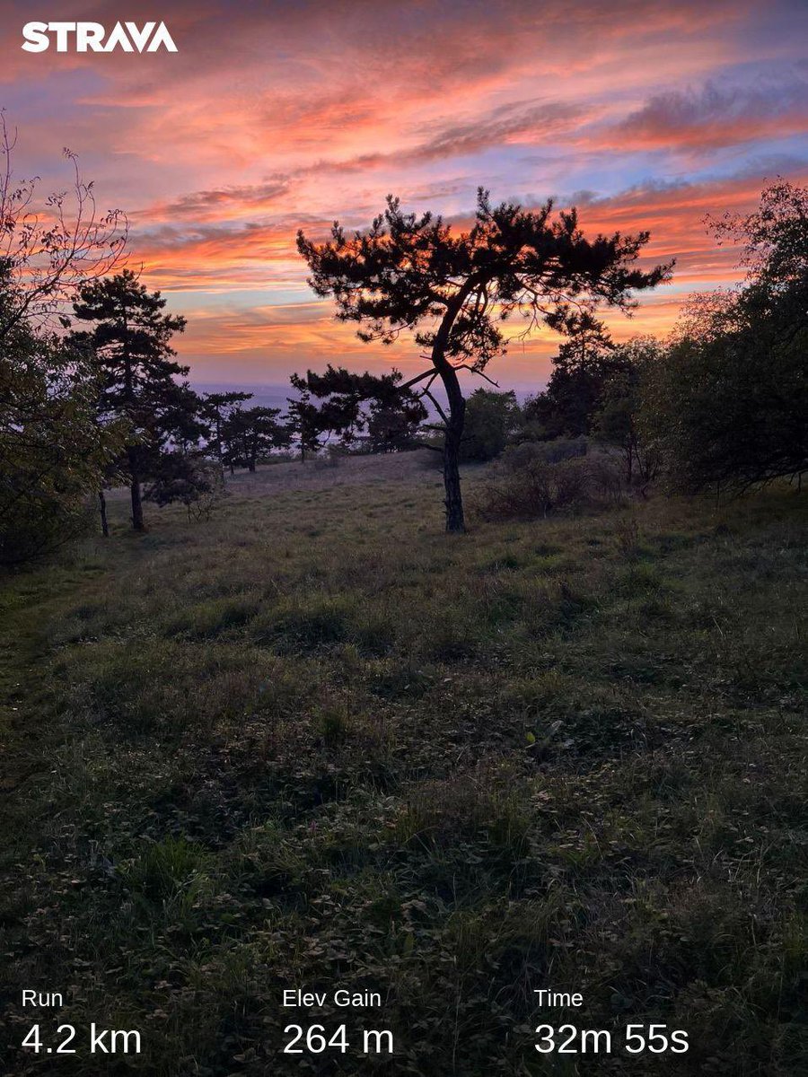 RunningForBTC's tweet photo. 4.2k evening trail #RunForBitcoin #btc #runner #running #bitcoin
https://t.co/DauOAPjHCq https://t.co/ZaQQPe23cn