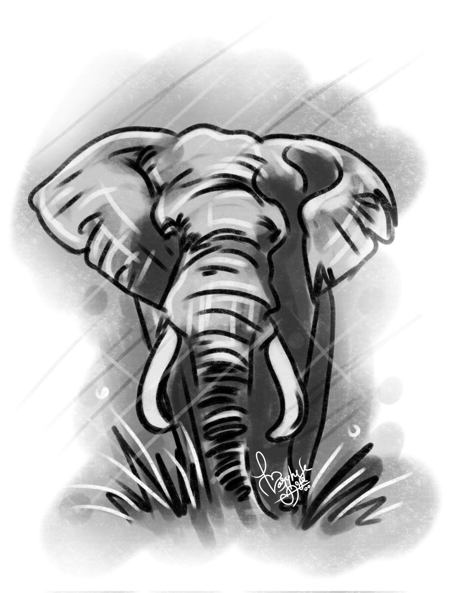 vargisNFT's tweet photo. Daily Sketches 

#dailysketches #elephant  #blackandwhite #illustration #NFT  #NFTCommunity #wildlife #charcoal #artistsontwitter https://t.co/g8lptNJ7kI