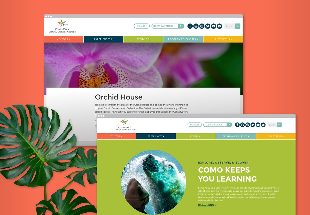 spotsaintpaul's tweet photo. Website design for Como Zoo &amp; Conservatory, a beloved Saint Paul, Minnesota attraction and an important institution promoting conservation and education. 🌿🦓🌼🦭🌳🦍
#webdesign #videography #graphicdesign #websitedesign #comozoo #comozooconservatory https://t.co/GdDIP83dE5