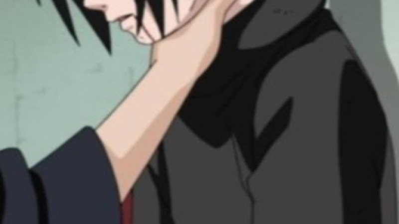 Dont Show Your Cat tweet media