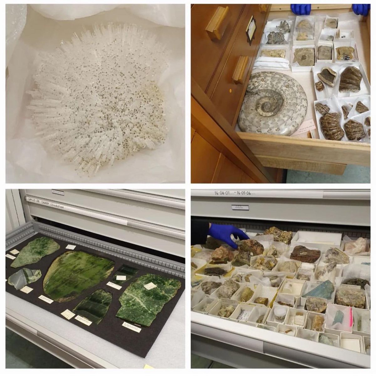 Earlier this week we had a lecture on curating natural science collections &amp; exhibitions by <a href="/HerbariumDonna/">Donna Young</a> followed by a behind the scenes delve into the <a href="/World_Museum/">World Museum 🌎</a> archives to think about historical art-science archives &amp; interactions! #botany #zoology #geology #entomology