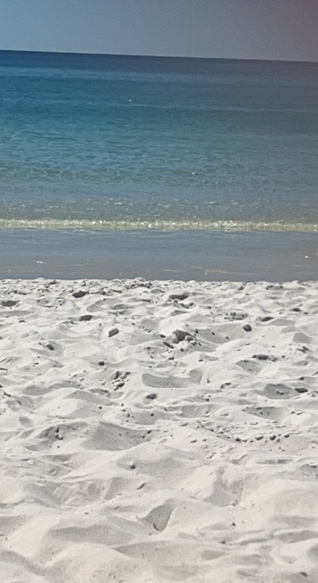MrsMayberryCrew's tweet photo. A relaxing week at the beach is exactly what I needed. #fallbreak22 https://t.co/H7zgokzxSh