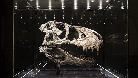 DrDinosaur2's tweet photo. Happy 117th Birthday T rex!!!
@Aaliyababi https://t.co/qLyKzJzpN6