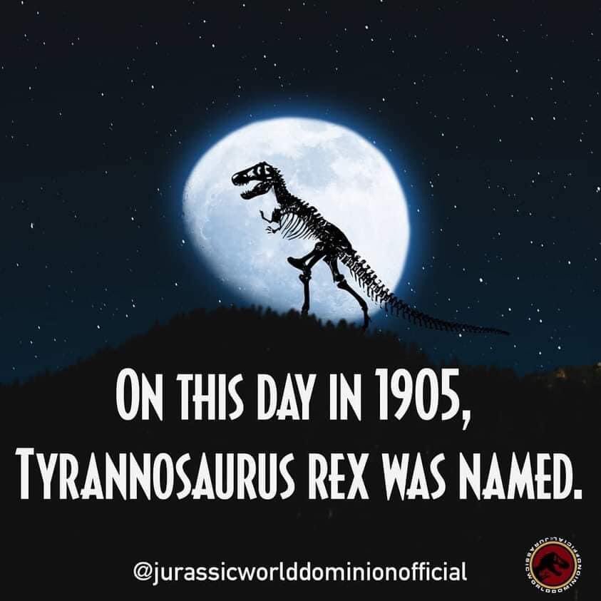 DrDinosaur2's tweet photo. Happy 117th Birthday T rex!!!
@Aaliyababi https://t.co/qLyKzJzpN6