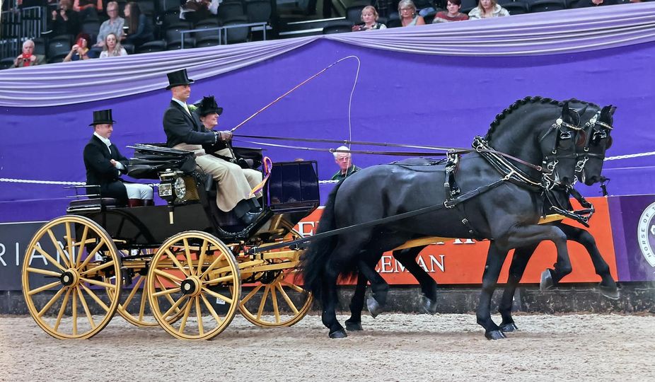 Quex Park tweet media