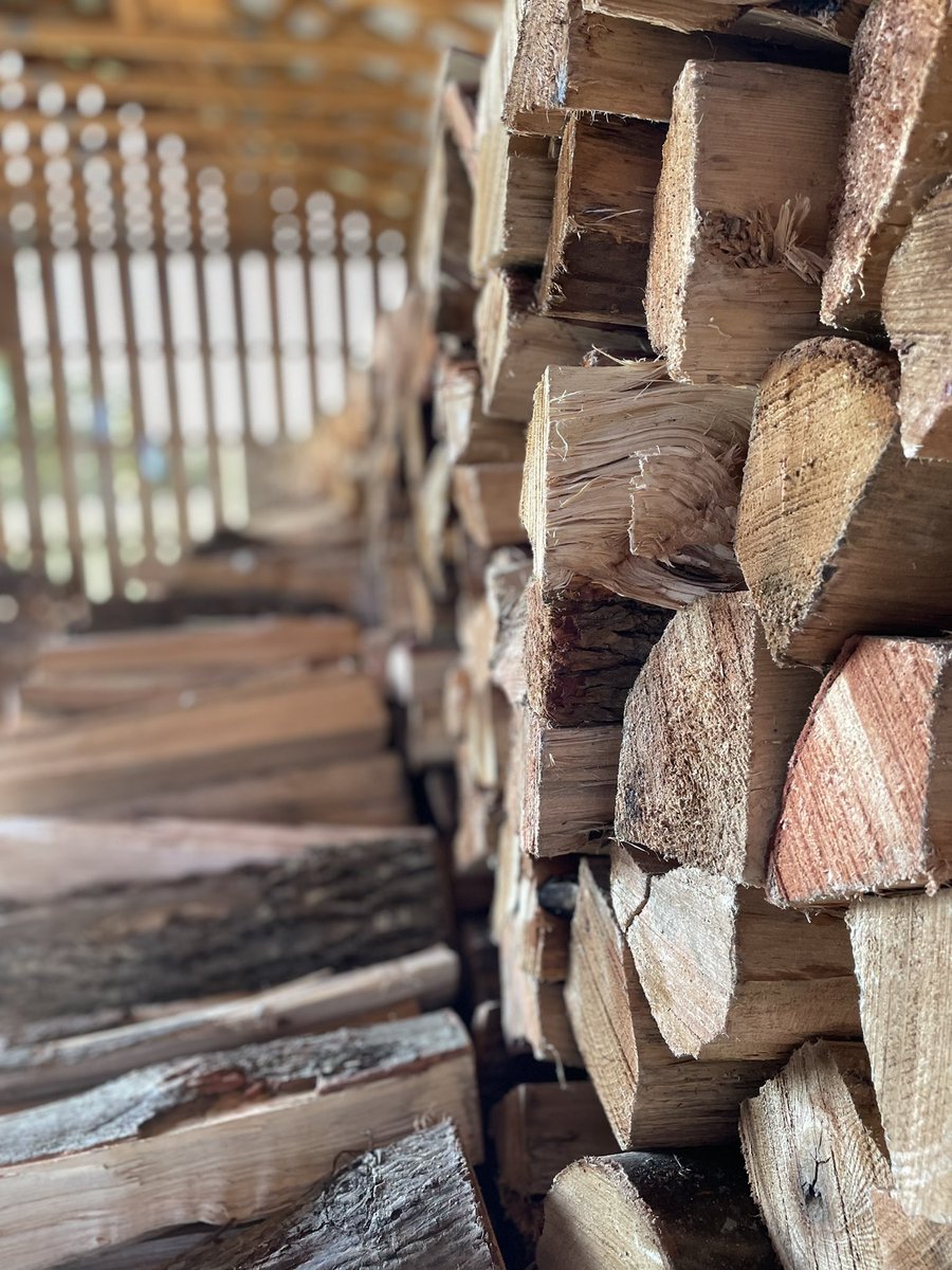Beautiful morning stacking wood at Button Bay with the advisory and our SLAM leaders. Filled with teamwork, connection, and a whole lot of laughs. <a href="/pburkevt/">Patrick Burke 🟧</a> <a href="/VTStateParks/">Vermont State Parks</a> #scsd22 #VTed