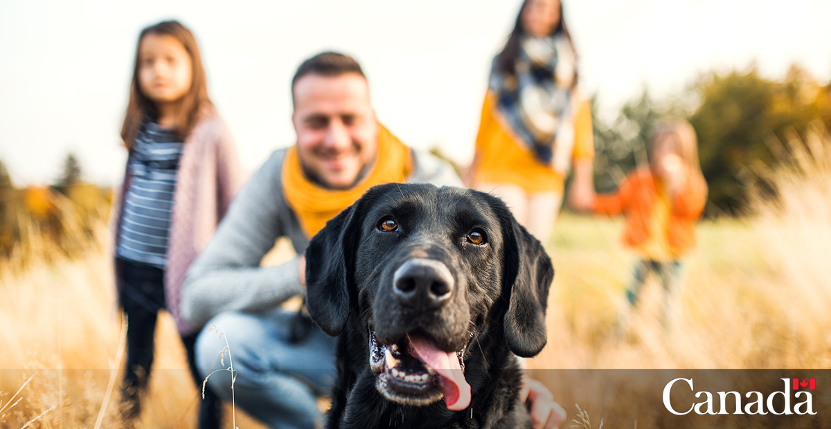 Canada’s Chief Veterinary Officer shared a statement about 🇨🇦’s collaboration with the Animal Health Quads Alliance to address the spread of animal diseases (like dog rabies) via non-compliant animal imports. #AnimalHealthWeek bit.ly/3RFuhlx