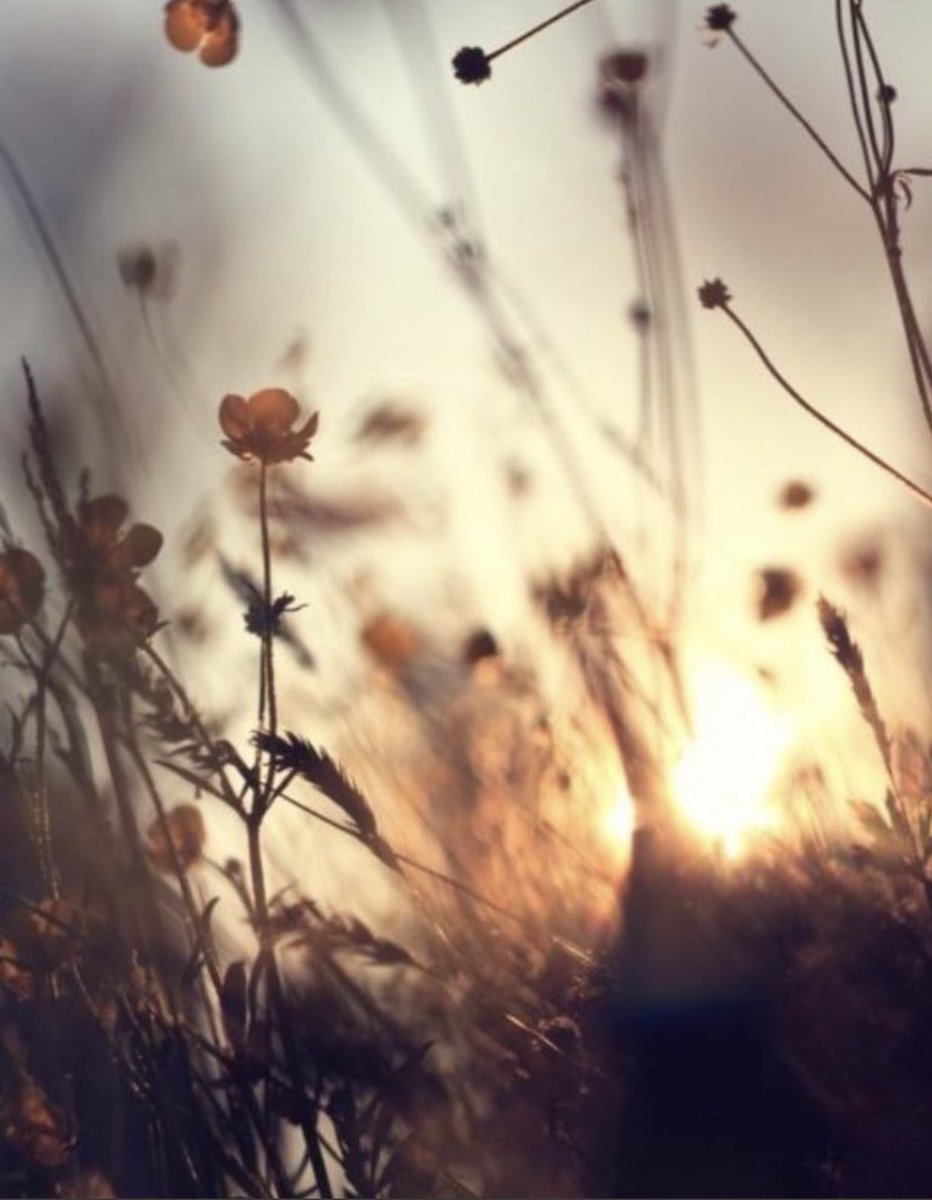 Kim olursan ol, olmamış olabilirsin…🍂