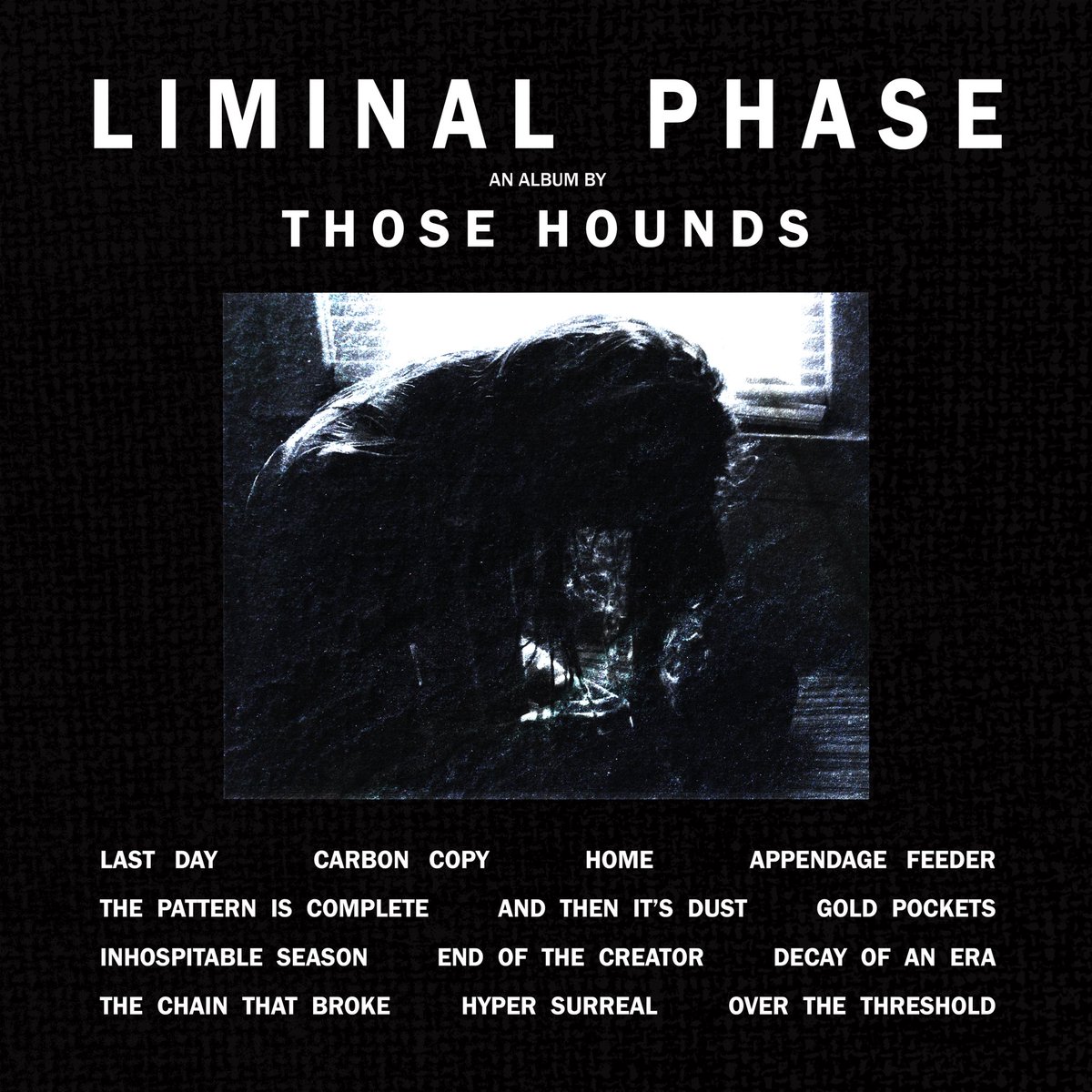 ThoseHounds's tweet photo. Our new album, “Liminal Phase” will be released in full, digitally on Nov 28th 

The cover art for this release (which features the full tracklist) was done by Matt Oberski

They have been an absolutely key piece in helping us bring all the art and details to life for this album https://t.co/oXwg2aG8M9