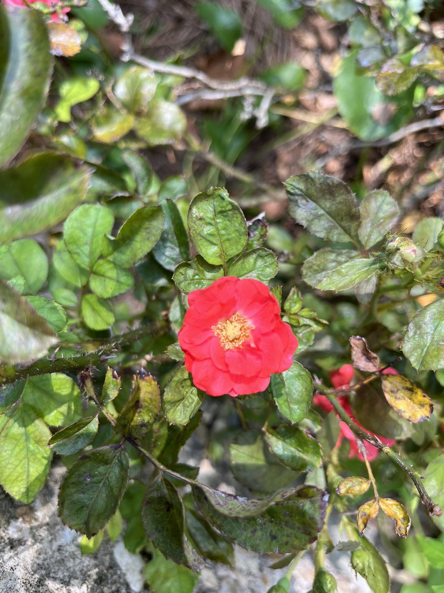 I am going to lose my fucking mind!!